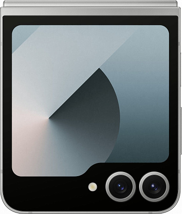 Samsung Galaxy Z Flip6 12/256Gb (Silver Shadow)