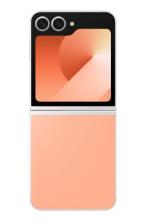 Samsung Galaxy Z Flip6 12/256Gb (SM-F741B) (Peach)