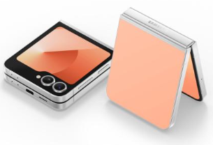 Samsung Galaxy Z Flip6 12/256Gb (SM-F741B) (Peach)