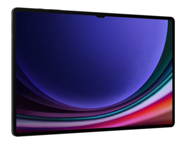 Samsung Galaxy Tab S9 Ultra 5G 12/256Gb (SM-X916B) (Graphite)