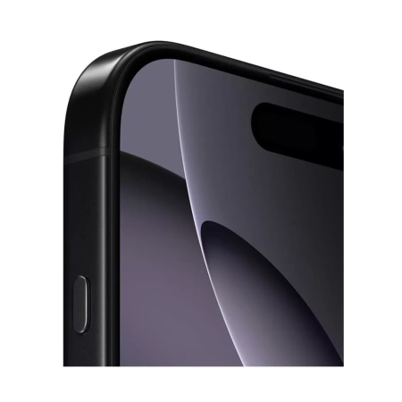 Apple iPhone 16 Pro Max 256Gb (Black Titanium) (eSIM)