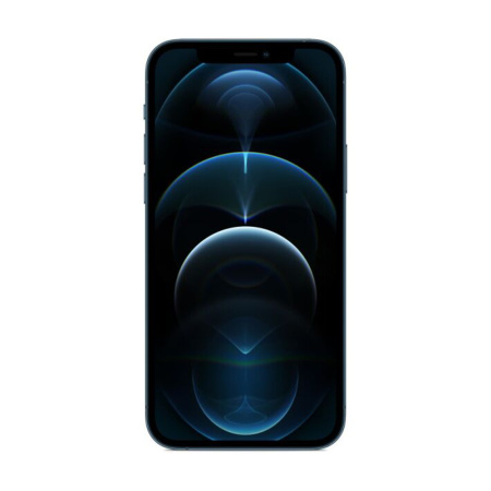 Apple iPhone 12 Pro Max 256Gb (Pacific Blue) (NGDF3RU/A) (Exchange Packed)