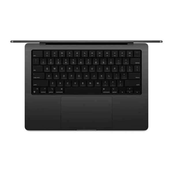 Apple MacBook Pro 14 2024 M4 Max 36Gb/1Tb (Space Black) (MX2K3)
