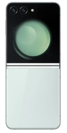 Samsung Galaxy Z Flip5 8/256Gb (SM-F731B) (Mint)