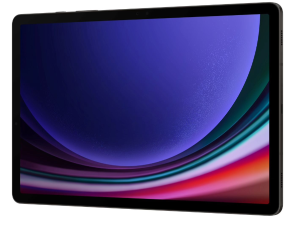 Samsung Galaxy Tab S9 5G 12/256Gb (SM-X716) (Graphite)