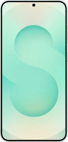 Samsung Galaxy S25+ 12/512Gb (Mint)