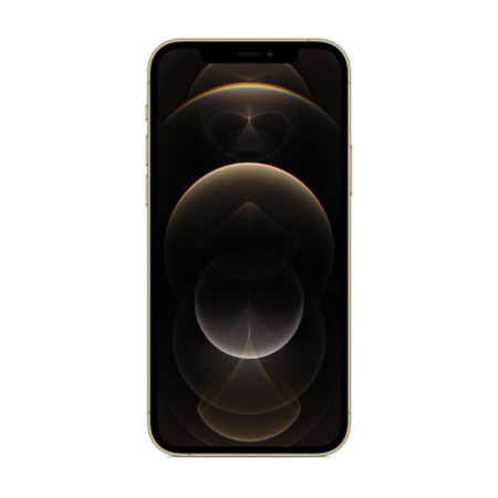 Apple iPhone 12 Pro Max 256Gb (Gold) EU