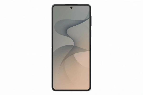 Samsung Galaxy Z Flip8 12/512Gb (Graphite)