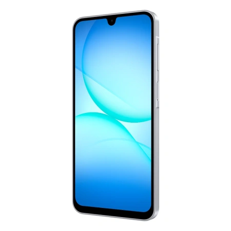 Samsung Galaxy A17 8/256Gb (Gray)