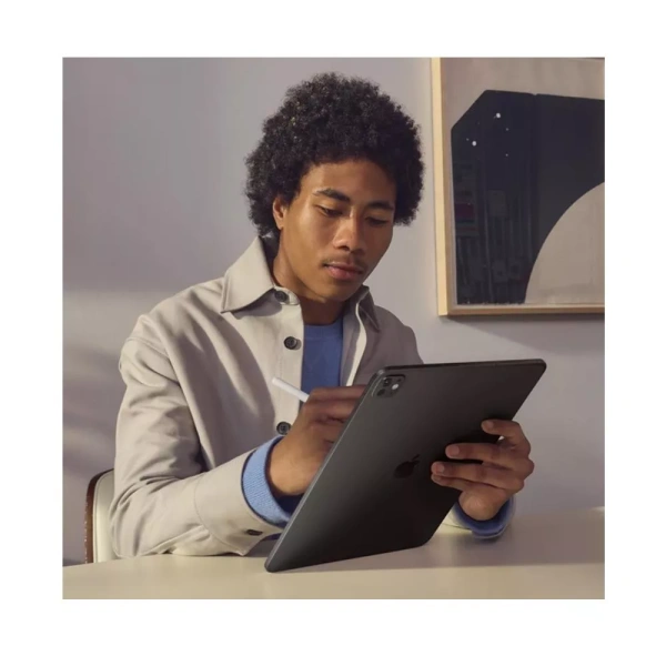 Apple iPad Pro 13 (2024) 512Gb Wi-Fi + Cellular with Standard glass (Silver)