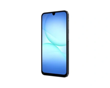 Samsung Galaxy A17 8/256Gb (Black)