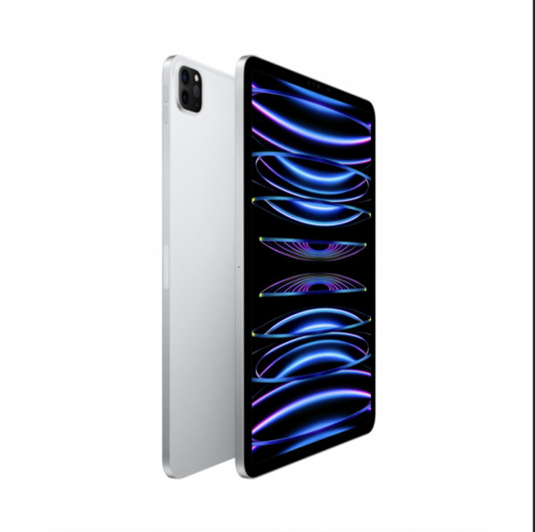 Apple iPad Pro 11 (2021) 256Gb Wi-Fi + Cellular (Silver)
