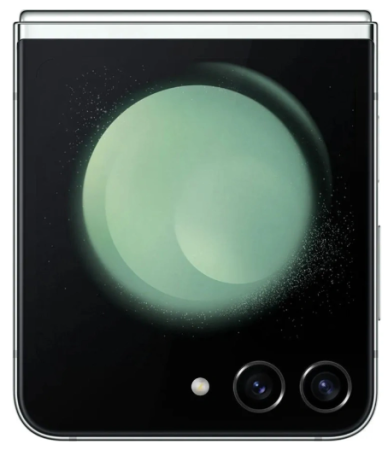 Samsung Galaxy Z Flip5 8/512Gb (SM-F731B) (Mint)