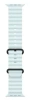 Apple Watch Ultra 2 (2024) 49mm Natural Titanium Case with Ice Blue Ocean Band (One Size)