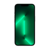 Apple iPhone 13 Pro Max 128Gb (Alpine Green)