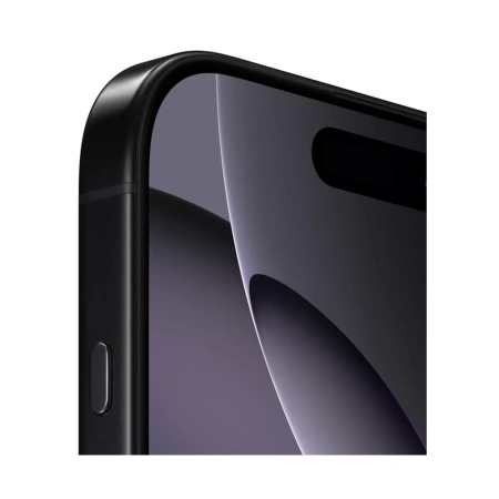 Apple iPhone 16 Pro Max 256Gb (Black Titanium)