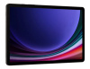 Samsung Galaxy Tab S9 5G 8/128Gb (SM-X716) (Graphite)