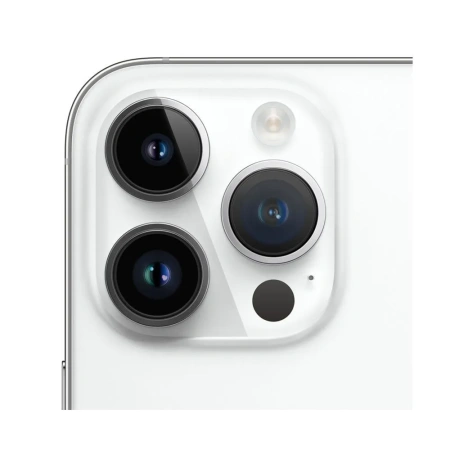 Apple iPhone 14 Pro 256Gb (Silver) (eSIM)