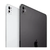 Apple iPad Pro 11 (2024) 2Tb Wi-Fi + Cellular with Standard glass (Space Black)