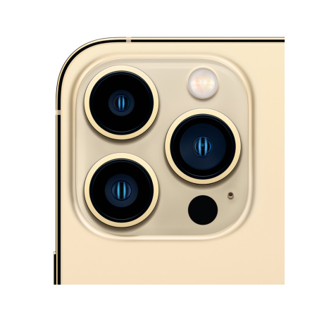 Apple iPhone 13 Pro 256Gb (Gold)