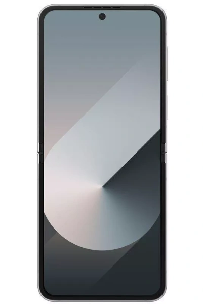 Samsung Galaxy Z Flip6 12/512Gb (Silver Shadow)