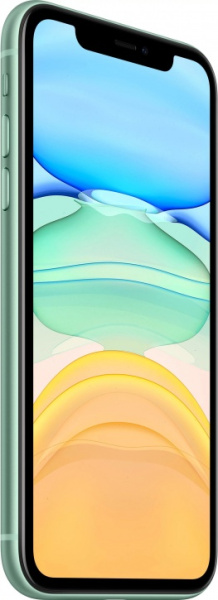 Apple iPhone 11 64Gb (Green) (MHDG3RU/A) (новая комплектация)