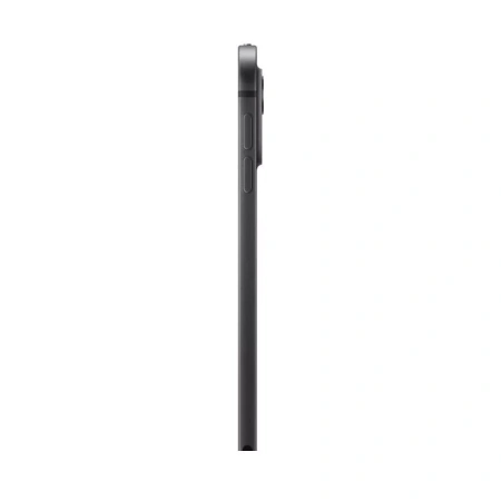 Apple iPad Pro 11 (2024) 256Gb Wi-Fi + Cellular with Standard glass (Space Black)