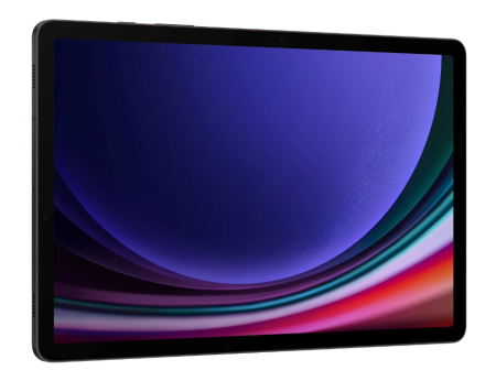 Samsung Galaxy Tab S9 5G 12/256Gb (SM-X716) (Graphite)