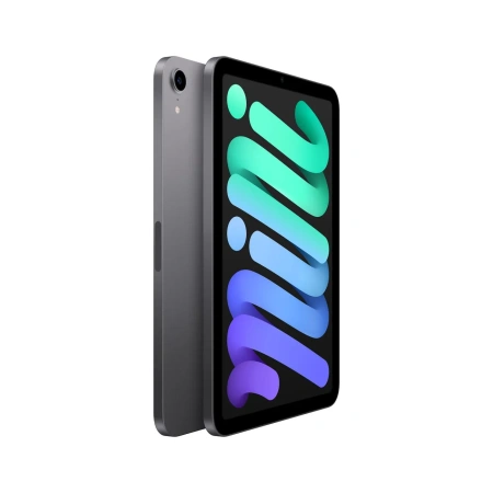 Apple iPad mini (2021) Wi-Fi 256Gb (Space Gray)
