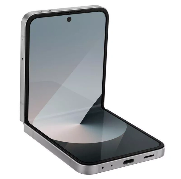 Samsung Galaxy Z Flip6 12/512Gb (Silver Shadow)